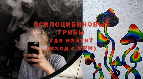 PSILOCYBIN Алексин