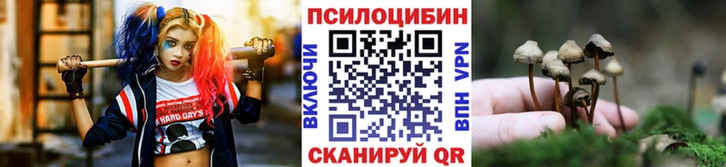 сколько стоит  Махачкала  Псилоцибиновые грибы ЛСД 